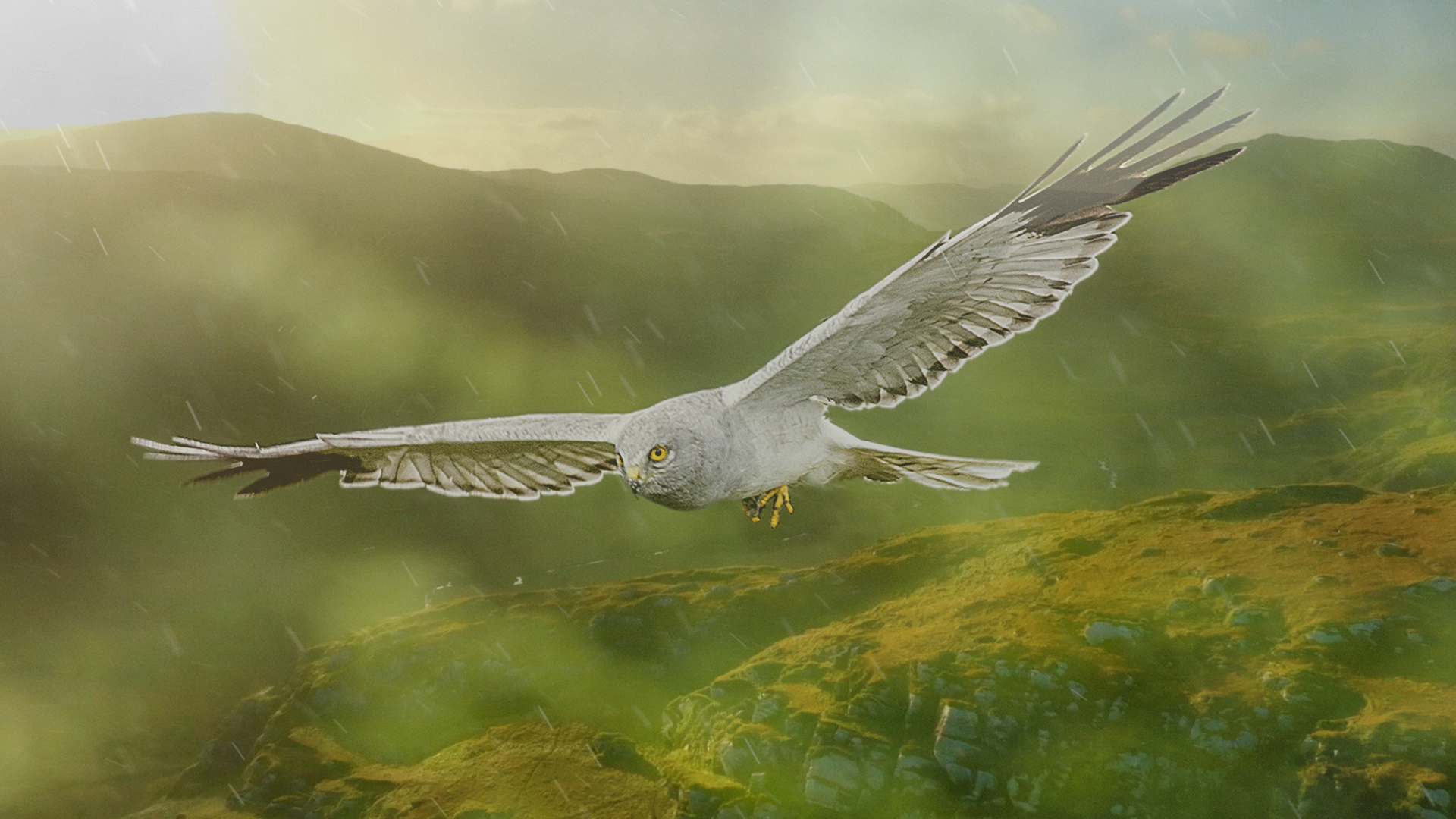 Download a zipped file of promotional materials in the Additional Assets section below.